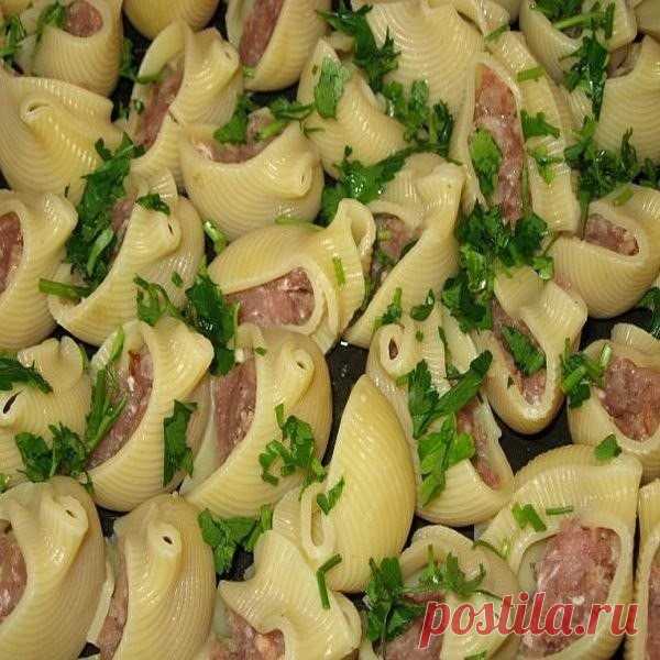 Ракушки с фаршем с соусом бешамель.

Ракушки отварить мин.5
Приготовленным фаршем наполнить ракушки уложить в форму.Залить соусом так и запекать в духовке. Готовится очень быстро!

СОУС

2стакана молока
3ст.л. сл.масла
2ст.л муки
соль

в сковороде растопить масло добавить муку-перемешать чтобы не было комков и добавлять молоко теплое осторожно все время мешать,как загустеет готов соус.