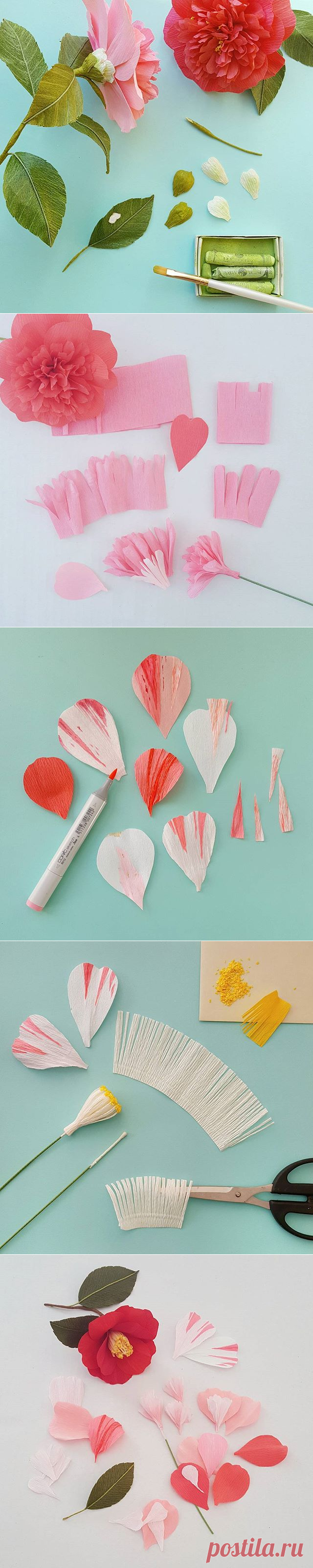 Lynn Dolan (@a.casual.florilegium) • Фото и видео в Instagram