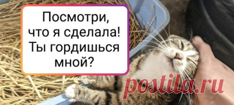 16 фото животных-мам и их милейших детенышей, от которых так и веет любовью