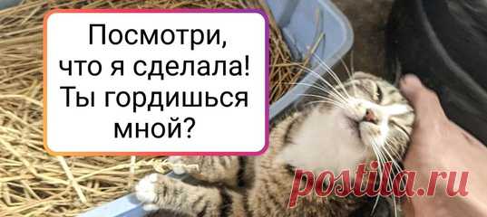 16 фото животных-мам и их милейших детенышей, от которых так и веет любовью