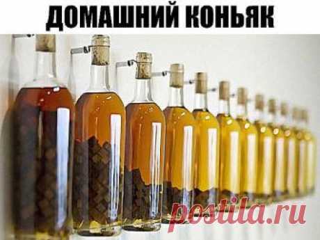 Домашний коньяк — удивите ваших гостей!
Ингредиенты:

Водка — 3 л
Чернослив — 6 шт.
Гвоздика — 10 шт.
Сахар — 100 г
Сухая заварка чая — 2 ст. л.
Ванилин — 1 пакетик

Приготовление:

1. Все ингредиенты — кроме водки — помещаем в банку, потом их заливаем 3-мя литрами водки.
2. Хорошо взбалтываем и ставим банку в тёмное место на трое суток, при этом, каждые сутки опять таки взбалтываем. Не бойтесь, что он сначала помутнеет.
3. Разливаем получившийся коньяк в красивые бутылки ...