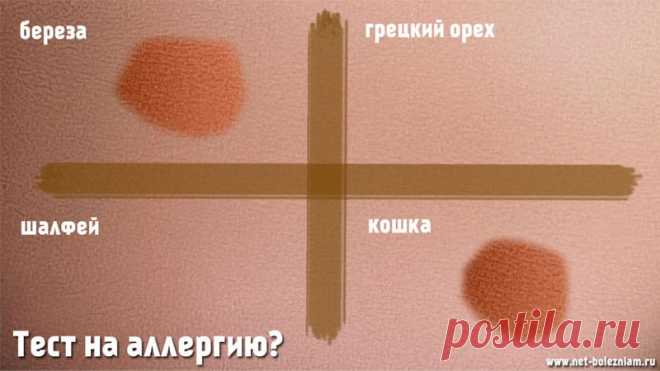 Что такое аллергия, её виды и как она возникает? 

Не всегда человек знает, на что у него наблюдается аллергия.

Для того чтобы избежать неприятных сюрпризов, делаются тесты на коже.