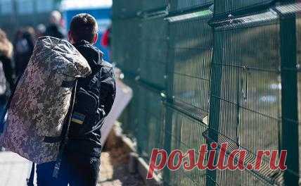 16-7-23-БЕЖЕНЦЫ С УКРАИНЫ  Из Европы – в окопы: Украина пытается мобилизовать уехавших из страны - Свободная Пресса