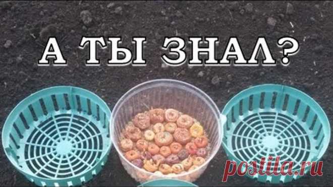 (11) Одноклассники