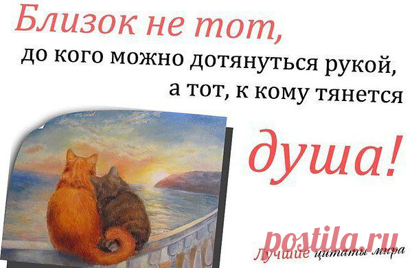 Интересные новости