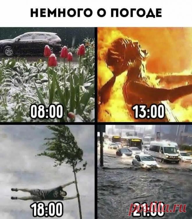 Вот такой вот у нас климат !