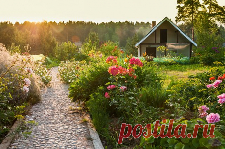 Как арендовать земельный участок с правом выкупа? — 6 соток