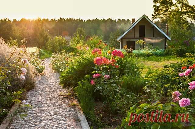Как арендовать земельный участок с правом выкупа? — 6 соток
