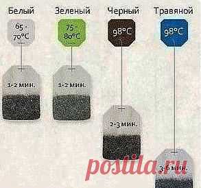 Правильно завариваем чай.
