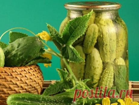 Крепенькие остро-сладкие ОГУРЦЫ &quot;Аля Верес&quot;