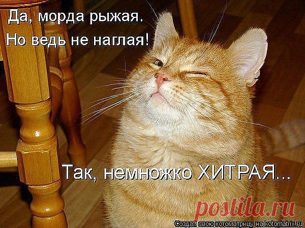 (3) Одноклассники