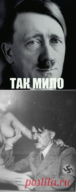 Правдивая история содержанки, ставшей телезвездой.