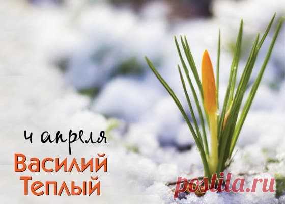 С Днем Василия Теплого!
Желаю здоровья, любви и успеха,
Конечно же, преданных, верных друзей,
Лишь позитива, веселья и смеха,
И море погожих и радостных дней!
