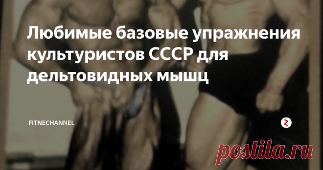 Любимые базовые упражнения культуристов СССР для дельтовидных мышц Если посмотреть на культуристов, которые занимались во времена СССР и выходили на соревновательный помост, можно обратить внимание...