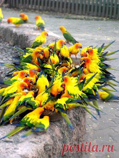 Букет цветов | Позитив