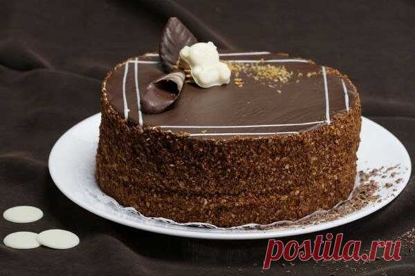 Tорт «Мишка на севере»
Этот сметанный тортик очень легко готовить, и он, несомненно, получится у вас таким же аккуратным и красивым.

Нам будет нужно:
Мука – около трех стаканов (зависит от того, насколько густая у вас сметана);
Сахар – 2 стакана;
Сода – пол чайной ложки;
Сметана – 3 стакана;
Какао – 3 чайные ложки;
Сливочное масло – 2 столовые ложки;
Грецкие орехи – 100 грамм.

Для начала мы растопим наше сливочное масло на огне. Далее выльем его в мисочку, добавим один с...