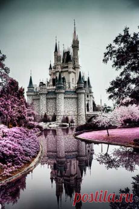 Disney Castle Took our daughters here when they were young…