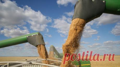 Reuters: Украина потеряла треть экспорта зерна после российских ударов по портам. Около трети мощностей по отгрузке зерна через черноморские порты утратила Украина в результате ракетных атак и налётов беспилотников. Читать далее