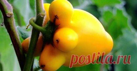 Это важно! Важные проблемы женского организма, которые влияют на вашу жизнь!