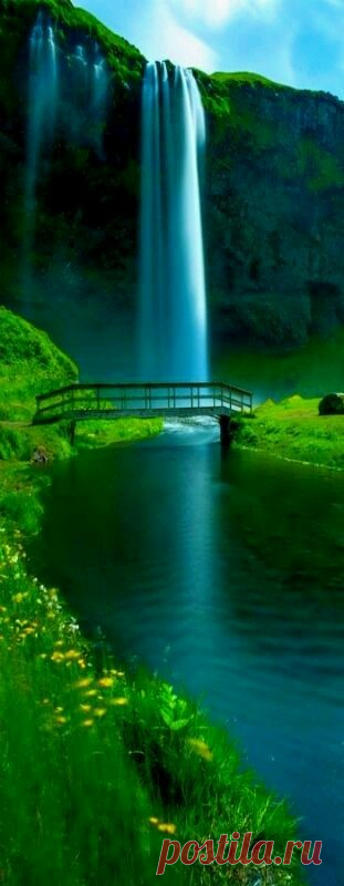 🍃🌹🍃🌷🍃🌹🍃