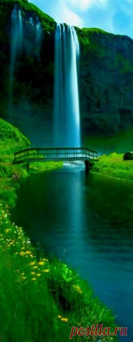 🍃🌹🍃🌷🍃🌹🍃