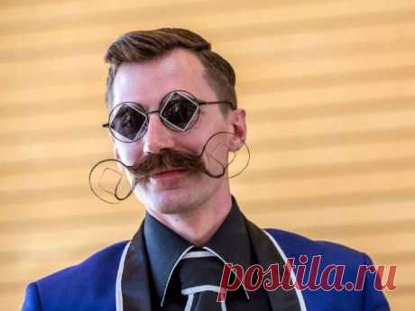 Немного прикольных фото