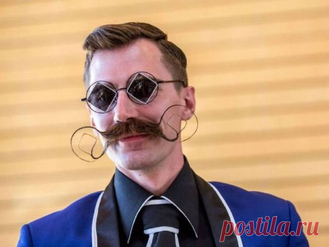 Немного прикольных фото
