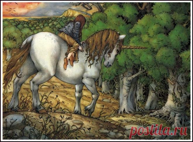 Голделия - единорог » Сайт о лошадях KoHuKu.ru