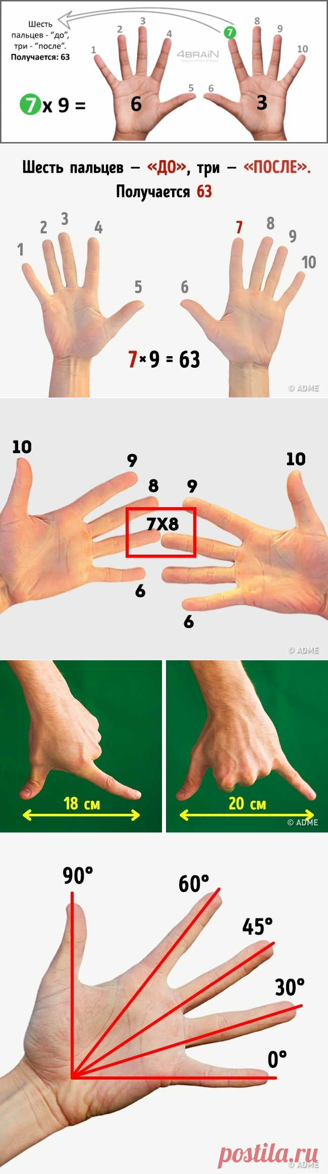 Этим хитростям нас научили еще в школе, и они до сих пор работают