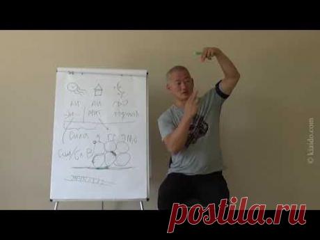 Почему ухудшается память? Какие движения наиболее эффективны для замедления старения мозга?