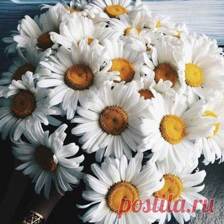 (45) Мой Мир@Mail.Ru