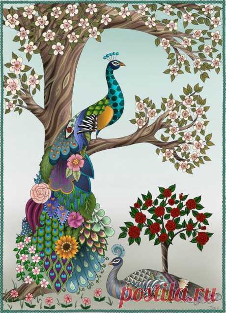Peacock and Peahen in Garden // Coloring Page // Digital Print - Etsy Canada