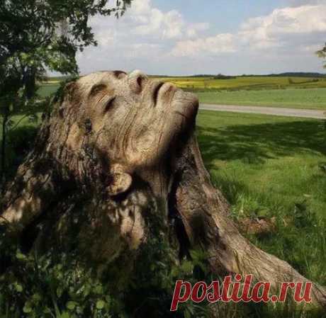 Стиль жизни