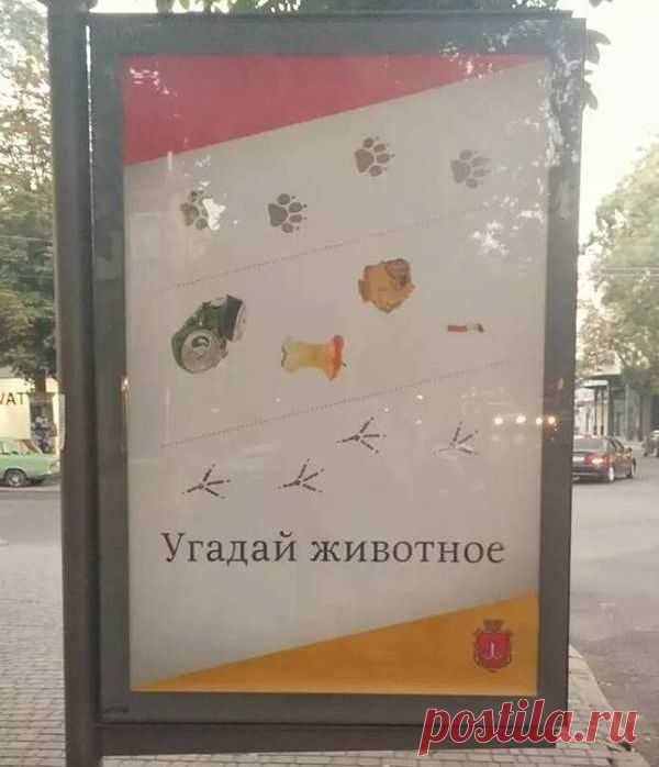 Прикольные картинки / Приколы