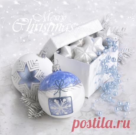 Новогодние натюрморты \ фотограф Марианна Локшина