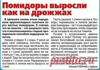 ВСЕ ЧТО НУЖНО ЗНАТЬ О ТОМАТАХ! 
!!!ШПАРГАЛКА НА ЛЕТО!!!

ДЕДОВСКИЙ РЕЦЕПТ ДЛЯ ТОМАТОВ