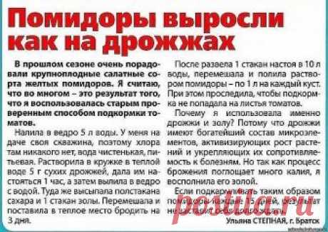 ВСЕ ЧТО НУЖНО ЗНАТЬ О ТОМАТАХ! 
!!!ШПАРГАЛКА НА ЛЕТО!!!

ДЕДОВСКИЙ РЕЦЕПТ ДЛЯ ТОМАТОВ