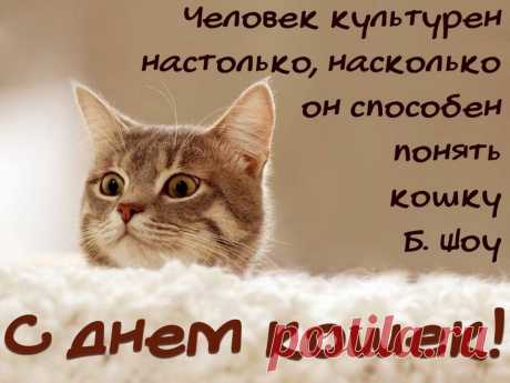 Если стало тебе скучно,
Взяли страхи в оборот —
Кошку почеши за ушком,
И волнение пройдёт.
