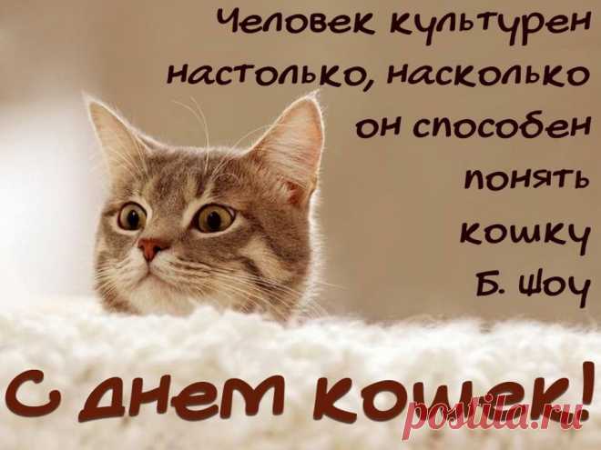 Если стало тебе скучно,
Взяли страхи в оборот —
Кошку почеши за ушком,
И волнение пройдёт.