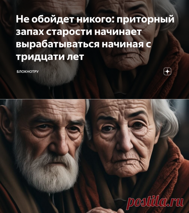 Не обойдет никого: приторный запах старости начинает вырабатываться начиная с тридцати лет | БлокнотРУ | Дзен
