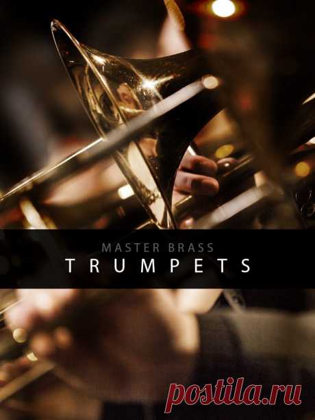Auddict Master Brass Trumpets v1.1 KONTAKT-SYNTHiC4TE  | 3.16 GB
Auddict is happy to bring you the trumpets section from our Master Brass orchestral brass sample library. Like its MB counterparts, the Master Brass trumpets also come with a staggering seven mic positions for absolute sonic control and sculpt-ability

Download at:

https://audioclub.store/uncategorized/auddict-master-brass-trumpets-v1-1-kontakt-synthic4te/