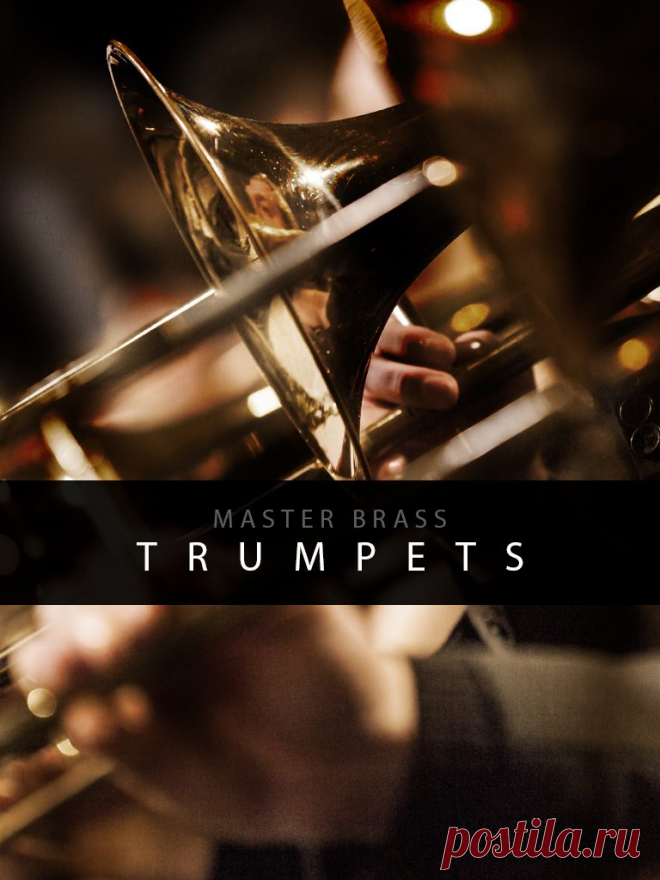 Auddict Master Brass Trumpets v1.1 KONTAKT-SYNTHiC4TE  | 3.16 GB
Auddict is happy to bring you the trumpets section from our Master Brass orchestral brass sample library. Like its MB counterparts, the Master Brass trumpets also come with a staggering seven mic positions for absolute sonic control and sculpt-ability

Download at:

https://audioclub.store/uncategorized/auddict-master-brass-trumpets-v1-1-kontakt-synthic4te/