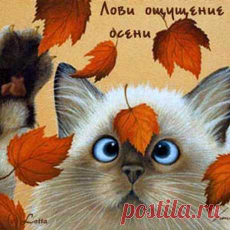 Лови ощущение осени