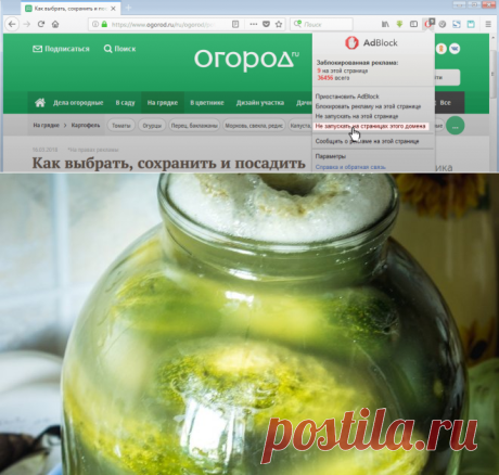Почему взрываются банки с огурцами и другими овощами? | Дачная кухня (Огород.ru)