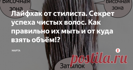 Лайфхак от стилиста. Секрет успеха чистых волос. Как правильно их мыть и от куда взять объём!? | Стилист | Яндекс Дзен