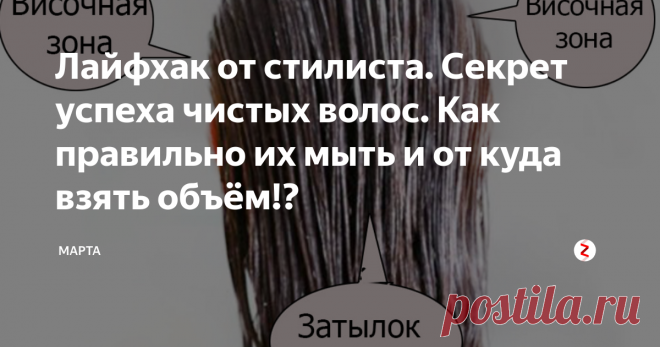 Лайфхак от стилиста. Секрет успеха чистых волос. Как правильно их мыть и от куда взять объём!? | Стилист | Яндекс Дзен