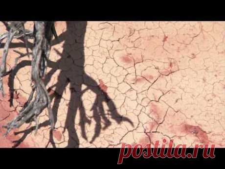 Australis - Barren Lands - YouTube