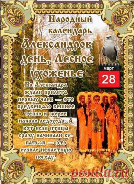 В некоторых районах Александров день выпадал на период так называемых волчьих свадеб. В это время животные ищут себе пару и активно перемещаются с места на место, часто выходя за пределы своих территорий.