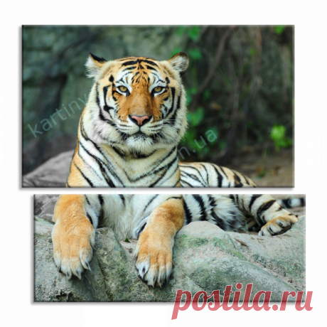 Модульная картина Азиатский тигр купить в Киеве, цена в Украине | Kartiny
