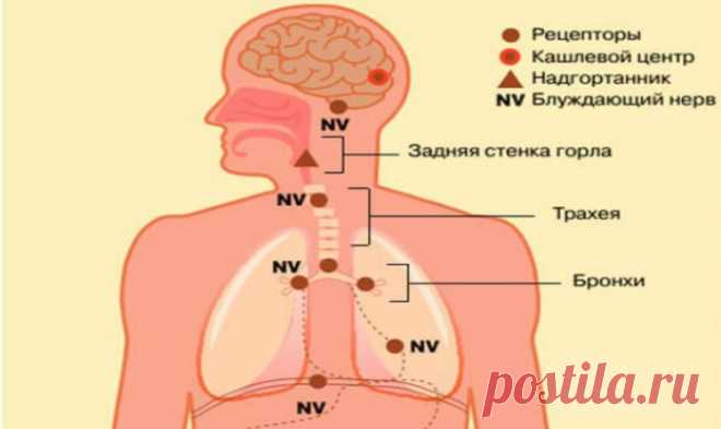 Методика Юрия Вилунаса избавления ОТ ДИАБЕТА — Копилочка полезных советов